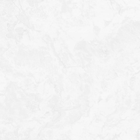 Виниловые обои на флизелиновой основе Артекс Luxury 1.06x10.05 арт.AR11196-01