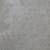 Флизелиновые обои Bruno Zoff Silver 1.06x10 арт.60119-3