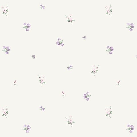 54321-1 Andrea Rossi Nisida 1,06 х 10,05