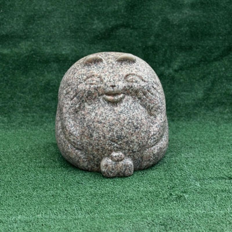Кот M