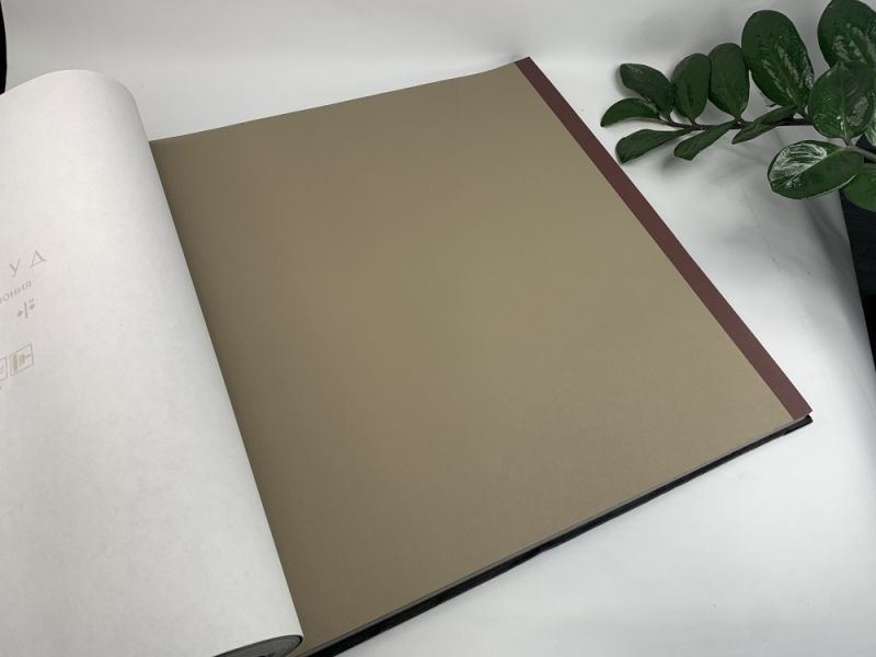 Флизелиновые обои Loymina Шервуд BRIT27 009 метровые