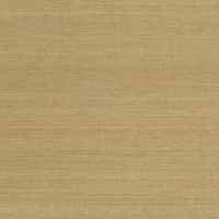Виниловые обои на флизелиновой основе Sirpi Jaipur 1x10.05 арт.J306851