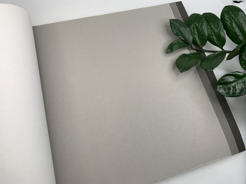 Флизелиновые обои Milassa Ambient vol.2 (Ambiplain 2) AM3 009 метровые