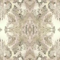 Флизелиновые обои York Candice Olson Botanical Dreams 0.68x8.2 арт.NA0596