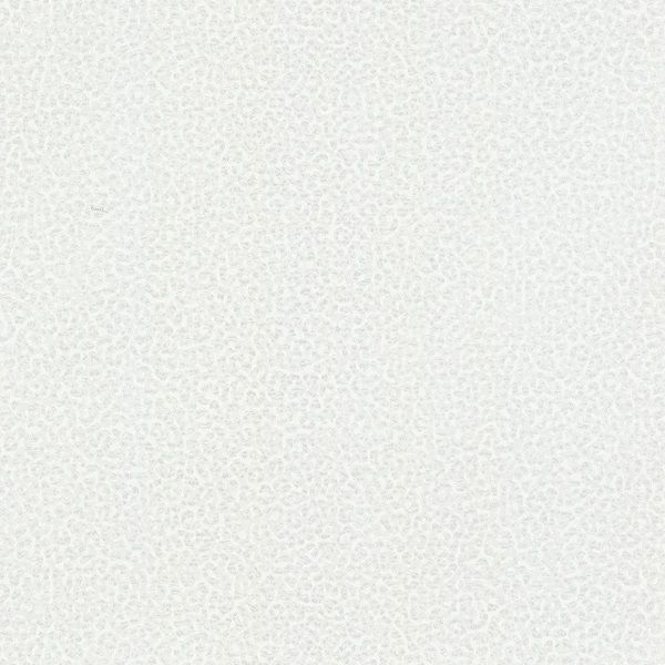 Виниловые обои Roberto Cavalli 8 1.06 RC19020