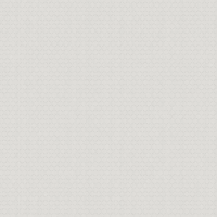 Флизелиновые обои Artsimple Mozart 1x10.05 арт.ARTS3001/1