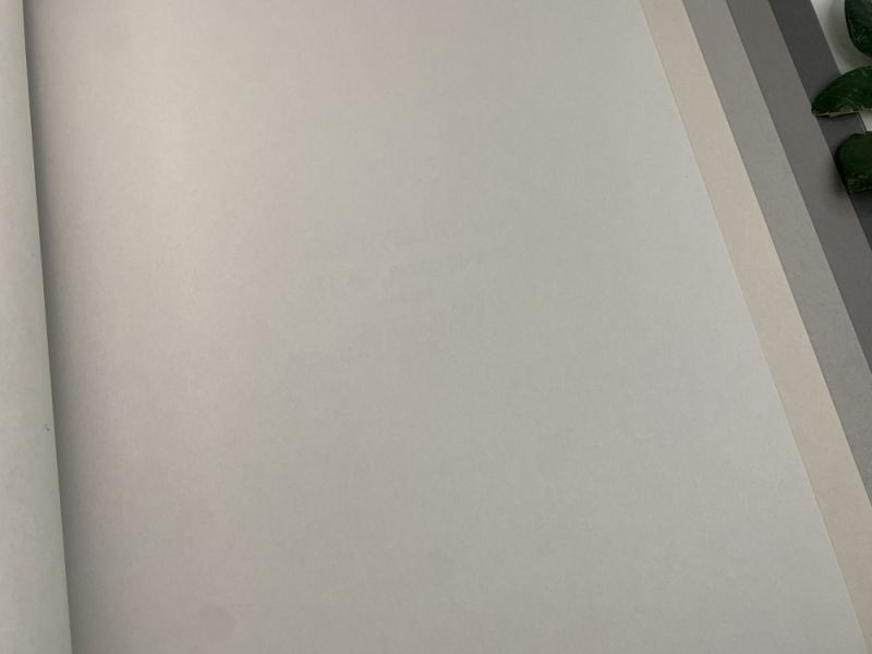 Флизелиновые обои Milassa Ambient vol.3 (Ambiplain 3) Am9 001/3 для спальни