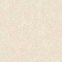 Виниловые обои на флизелиновой основе Alessandro Allori Four Seasons 1.06x10 арт.RST1607-3