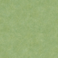 Флизелиновые обои Aura Evergreen 0.53x10.05 арт.7333e