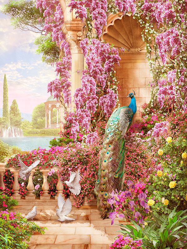 Современный Графический Дизайн 44425