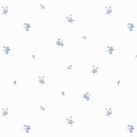 54321-2 Andrea Rossi Nisida 1,06 х 10,05