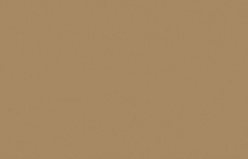 Флизелиновые обои Loymina Golden Library SAT3 005/1