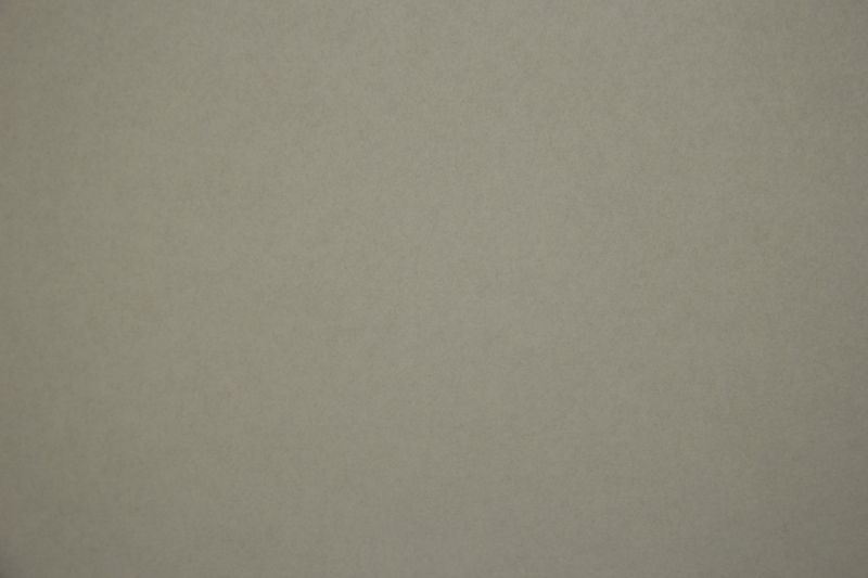 Флизелиновые обои Loymina Lotus Universe LOT2 405 метровые