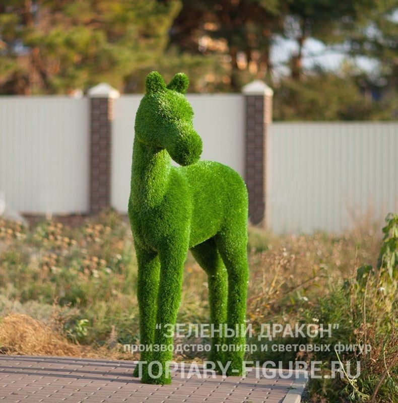 Топиари "Жеребенок"