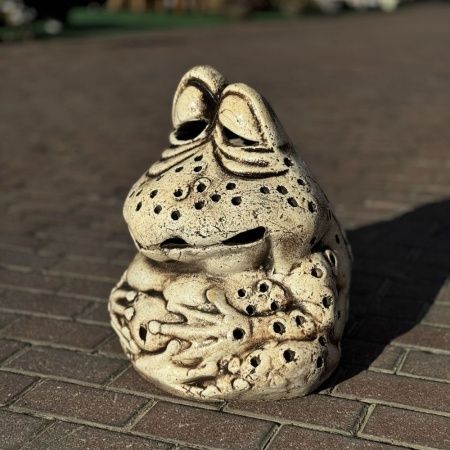 Жаба Клава