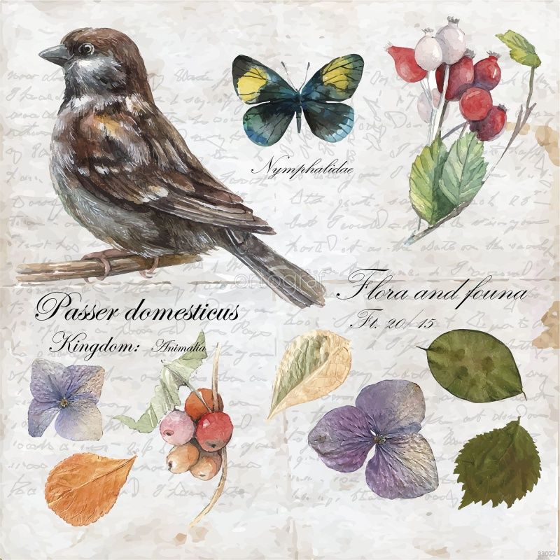 Зарисовки природы Art.33022