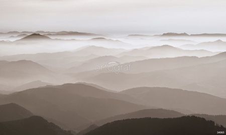 Над лесом Art.34065