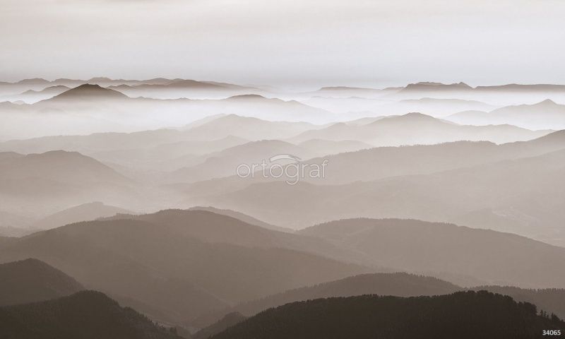 Над лесом Art.34065