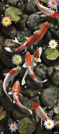 Фреска Карпы Art.33445