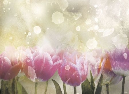 Тюльпаны Art.30562