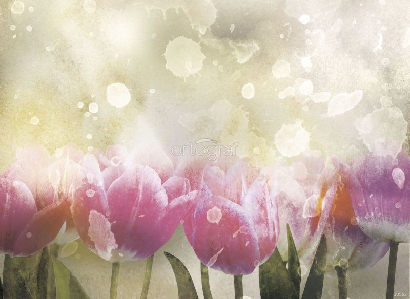 Тюльпаны Art.30562