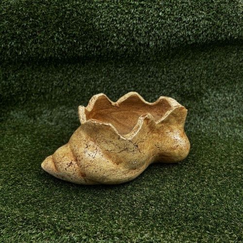 "Ракушка" малая