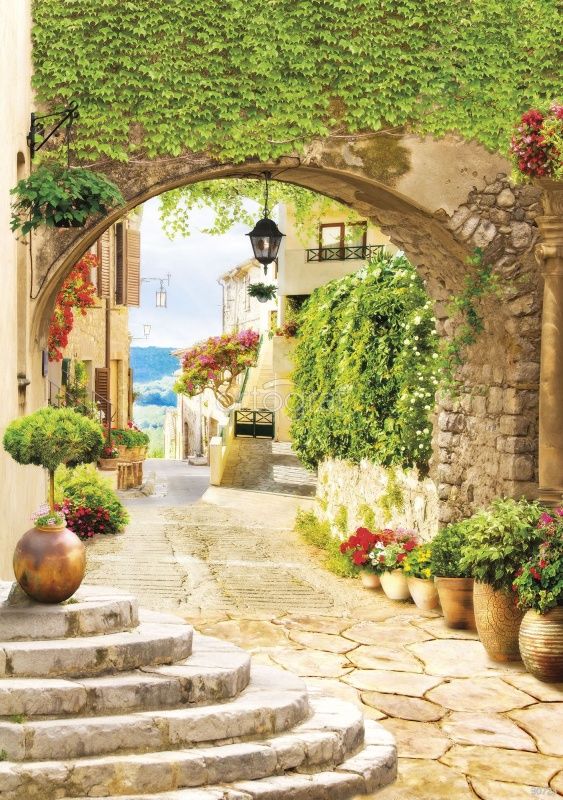 Залитая солнцем улочка Art.30723