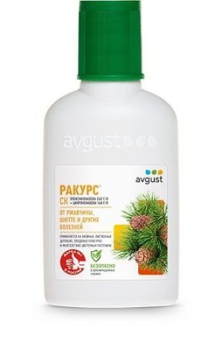 Ракурс, 48мл