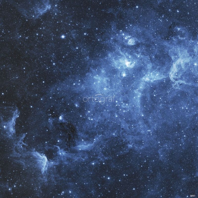 Звезды Art.3997