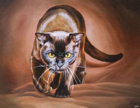 Я шоколадный Art.8240