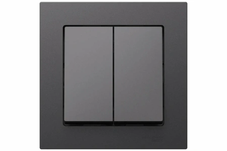Двухклавишный выключатель в комплекте с рамкой (Базальт)