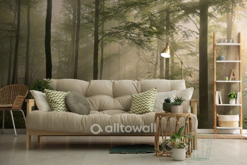 В лучах солнца