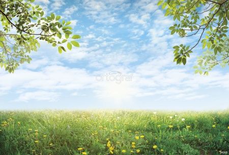 Фреска Поле одуванчиков Art.34265