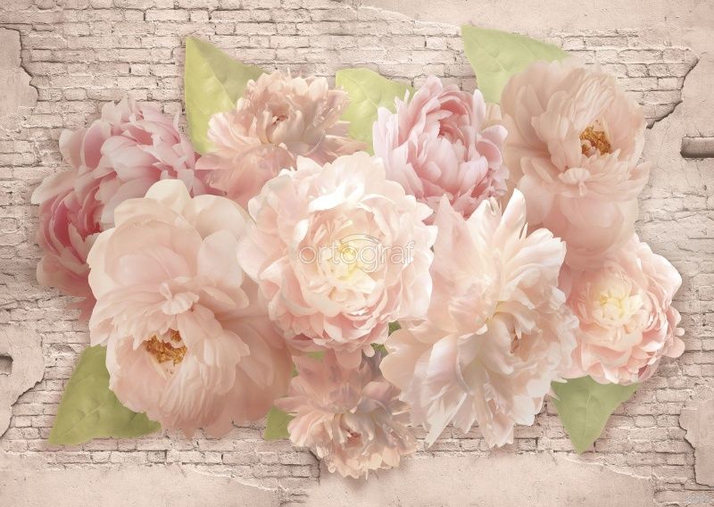 Фреска Пионы на стене Art.33263