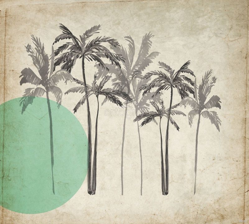 Серые пальмы и зеленое солнце Art.30197