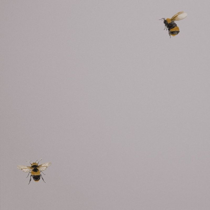 54419-4 Andrea Rossi Cavolli 1,06 х 10,05