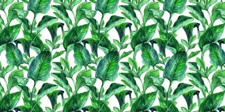 Фреска Цветы, цветочная коллекция арт. f_415