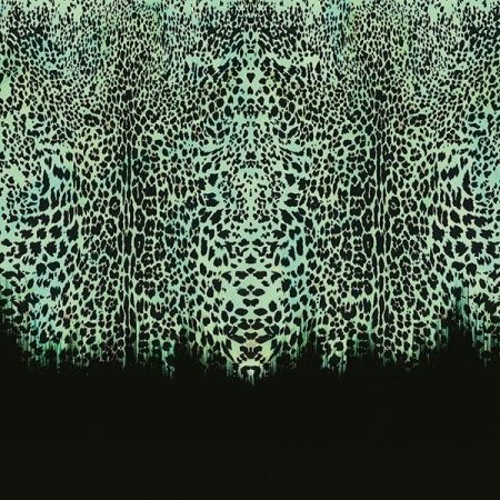 Виниловые фотообои Roberto Cavalli 8 RC19114