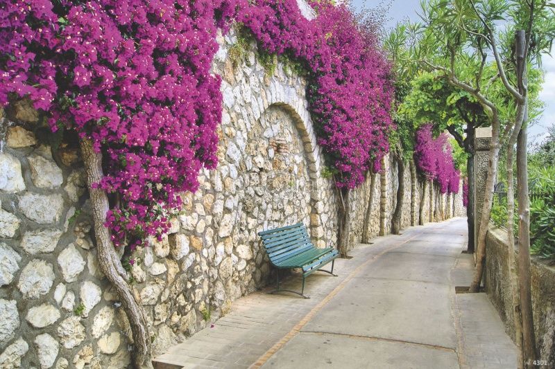 Улочка на Капри Art.4301