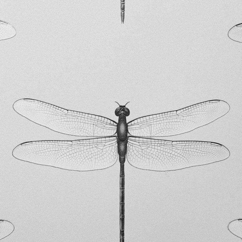 54426-1 Andrea Rossi Cavolli 1,06 х 10,05