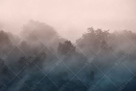 Фреска ALBA Natura арт. 800175