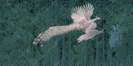 Фреска ALBA Natura арт. 800137