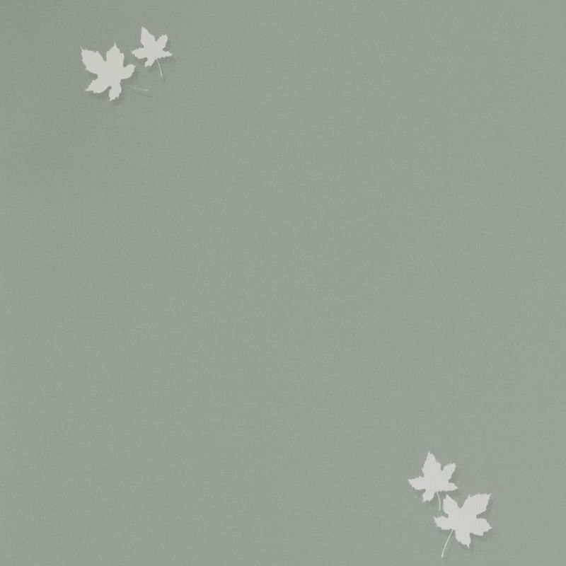 54384-7 Andrea Rossi Spectrum PRO 1,06 х 10,05