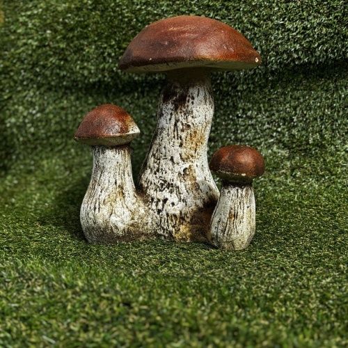 Гриб белый тройной