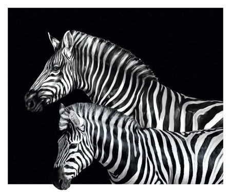 Виниловые фотообои Dolce&Gabbana №1 30120DGA