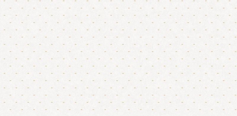 54398-2 Andrea Rossi Cheradi 1,06 x 10,05