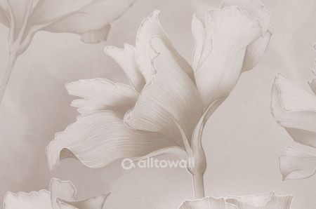 Нежные альстромерии