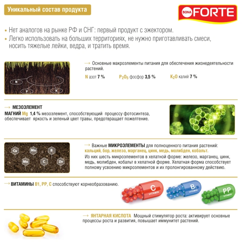 Bona Forte Удобрение ГАЗОННОЕ в канистре с эжектором, 1 л