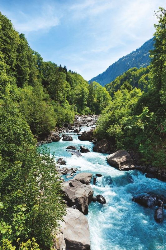 Фреска Прохладная горная речка Art.30073