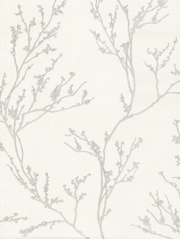 54360-2 Andrea Rossi Spectrum max 1,06 x 10,05